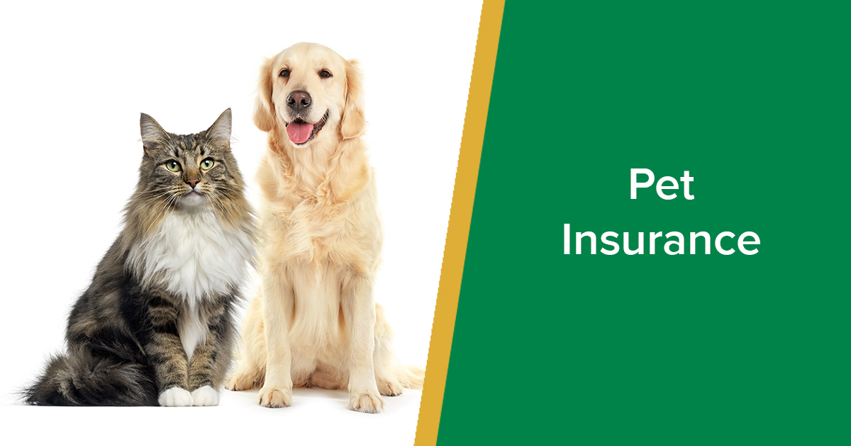 what-is-pet-insurance